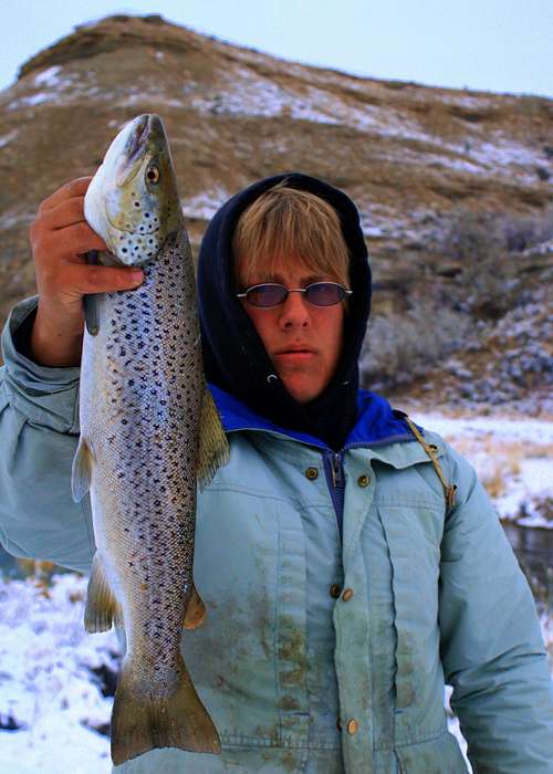 Big Brown Trout