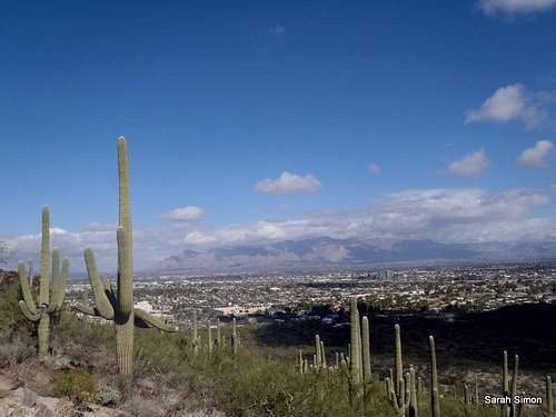 Tucson urban views