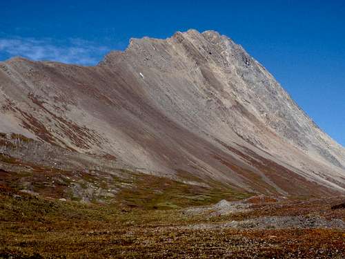 Mount Wilcox