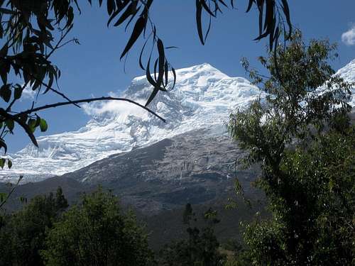 Huascarán Norte from the woodlands near Musho