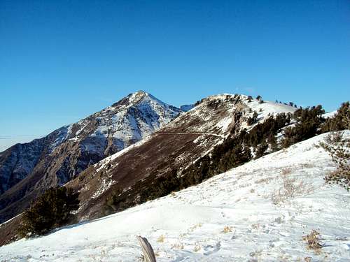Chilly Peak 8620