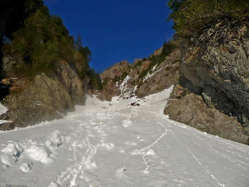 Looking up the Gully