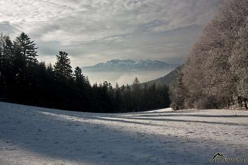 Tatras from Szopka pass