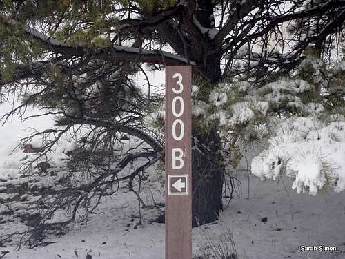 FS 300B signpost
