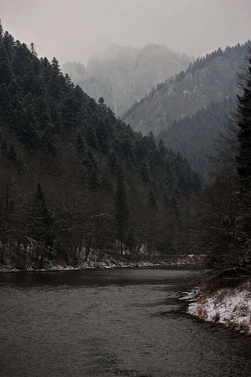Misty day in Dunajec canyon