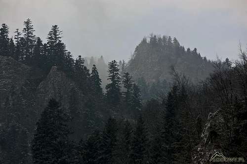 Pieniny peaks and forests