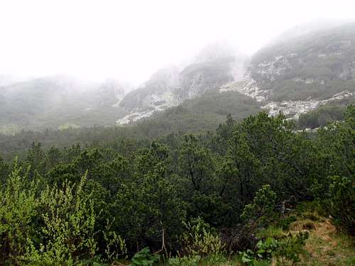 Fog in Rila Mountains