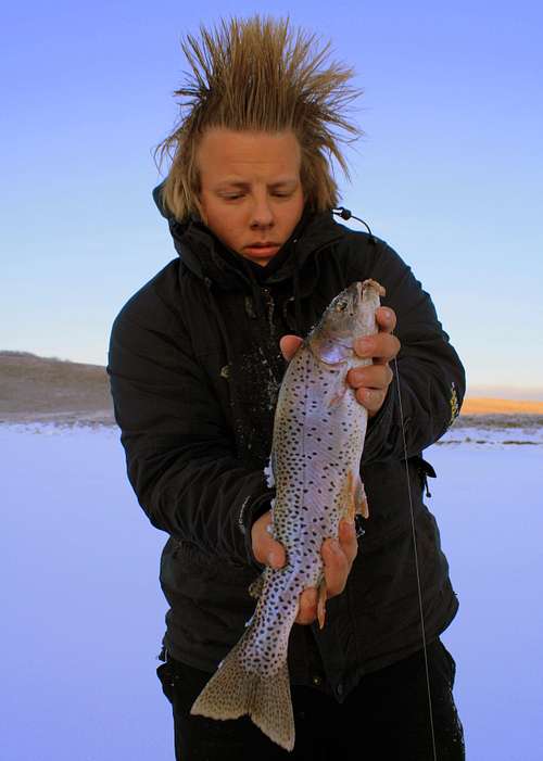 Cutthroat Trout