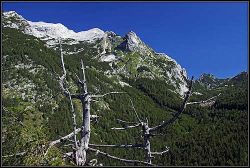 The southern slopes of Mojstrovka