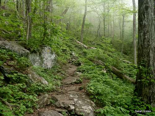 The rocky trail from Blue Mountain