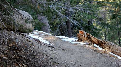 Blue Ridge Trail