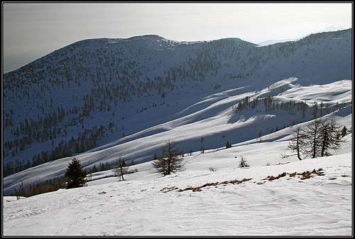 Ski slopes above Rozca alpine meadow