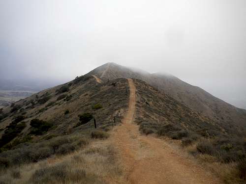 Foggy Catalina Highlands