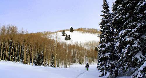 Troy skinning up Butler Fork