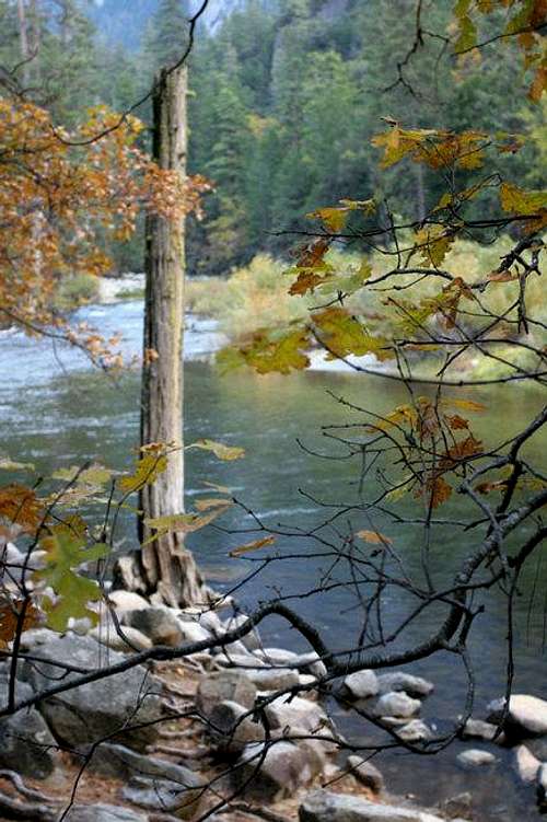 Fall colors near Merced River...