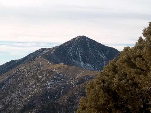 Our tallest goal of the trip; Telescope Peak