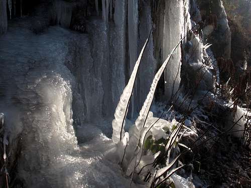 Icicles in the Müglitz valley
