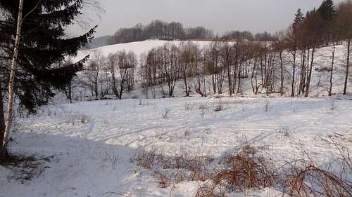 Frozen countryside near Lądek-Zdrój