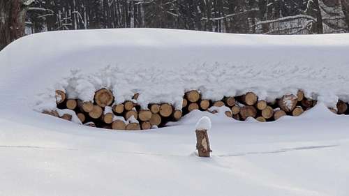 Wood and snow