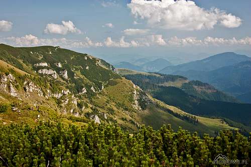 South-east from Saua Intre Izvoare