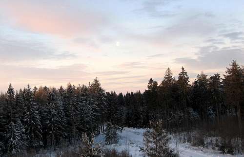 Winter in the Harz Mountains