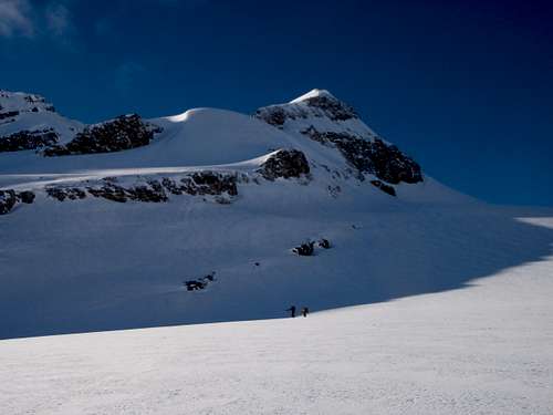 Wapta Icefield - Bow to Yoho Traverse | Mont des Poilus