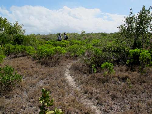 Path on East Caicos