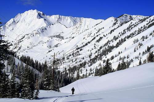 Dan skinning up Grizzly Gulch