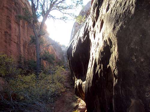 Primitive Trail Canyon