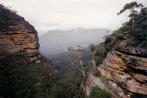 Jamison Valley lookout