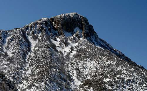 Cookes Peak: Climbing in a Winter Wonderland