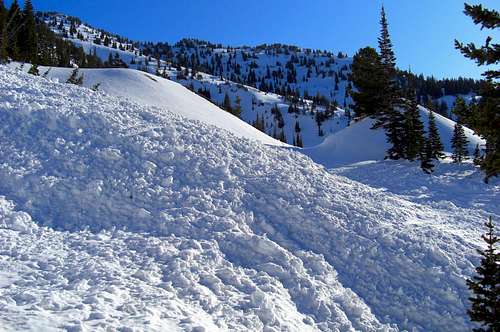 Avalanche Debris is Grizzly Gulch. 
