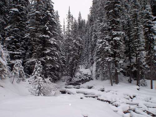 King Creek in Winter