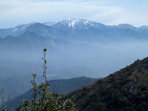 Mt. Baldy from Pine Mountain