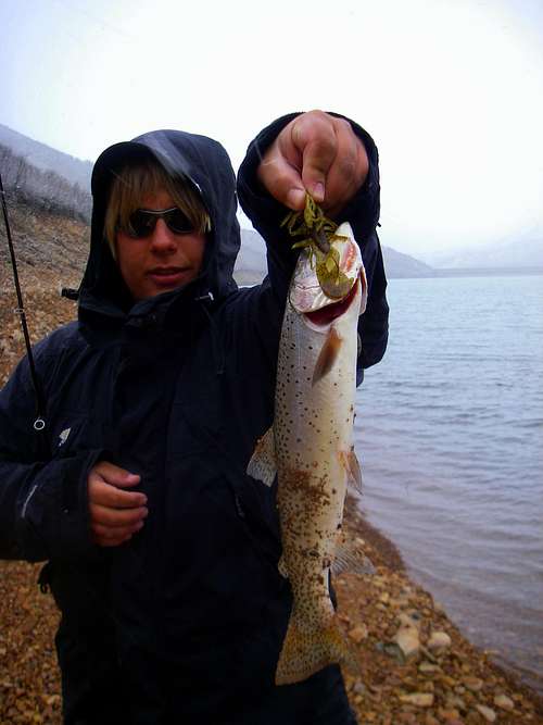 Me holdin a cutthroat trout