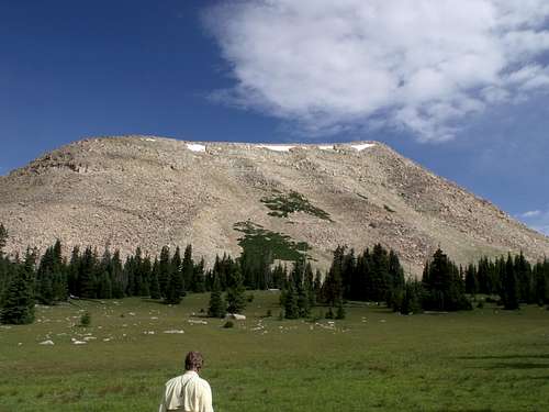 southeastern slope of cleveland peak