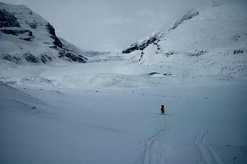 Approaching the Athabasca Glacier