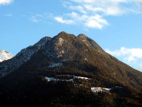 Combatissière's Black Forest under Dard's Point