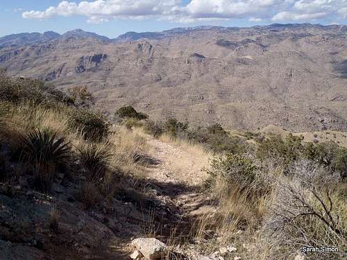 Descent from Agua Caliente Hill
