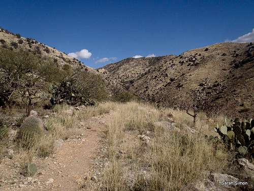 Standard Agua Caliente Hill Trail