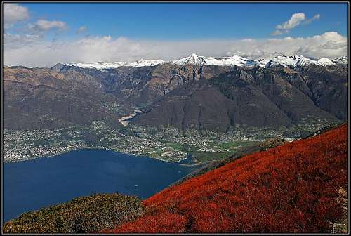 Monte Gambarogno panorama