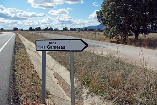 Signal to Gameras