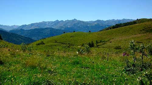 Col du Pradel: flowering thistle before the main ridge of the Pyrenees