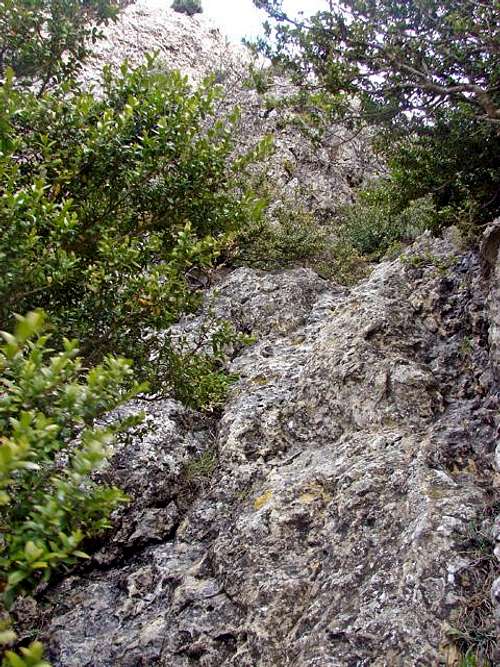 Rock climbing of Aiguille West