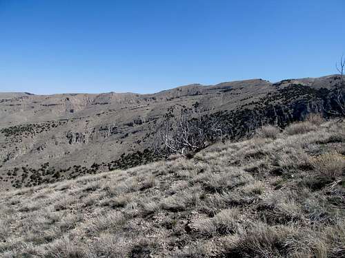 Cliffy Ridges of the Cedars