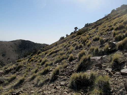 Descending NE Ridge