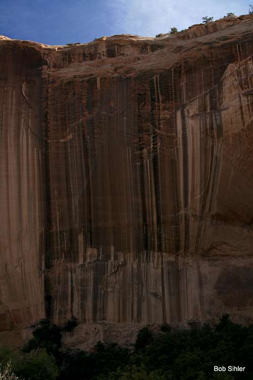 Varnished Wall in Calf Creek Canyon