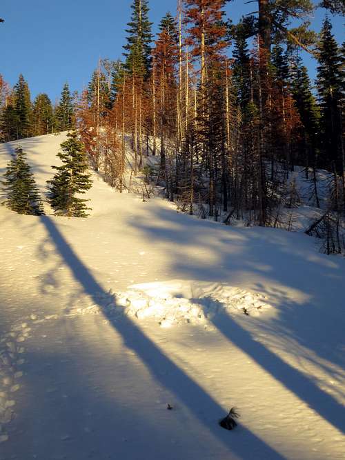 Sunset on Lassen's NW Ridge