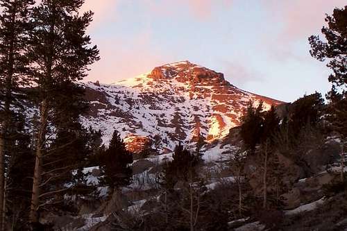Red Lake Peak in the evening...