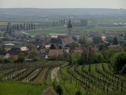 Retzbach behind the wineyards